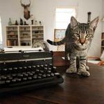 The Hemingway Home and Museum