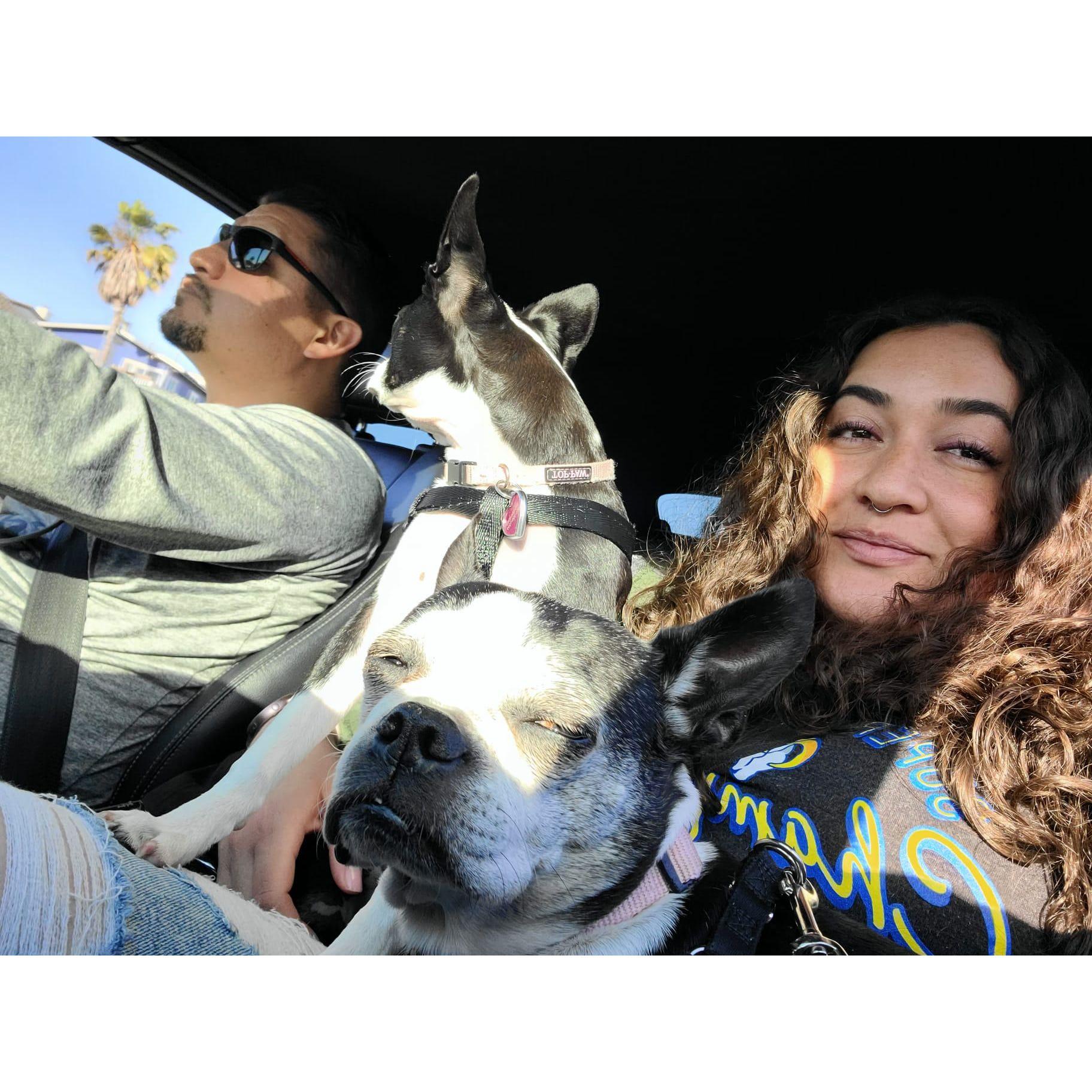 Cruisin with Billie Jean & Mary Jane