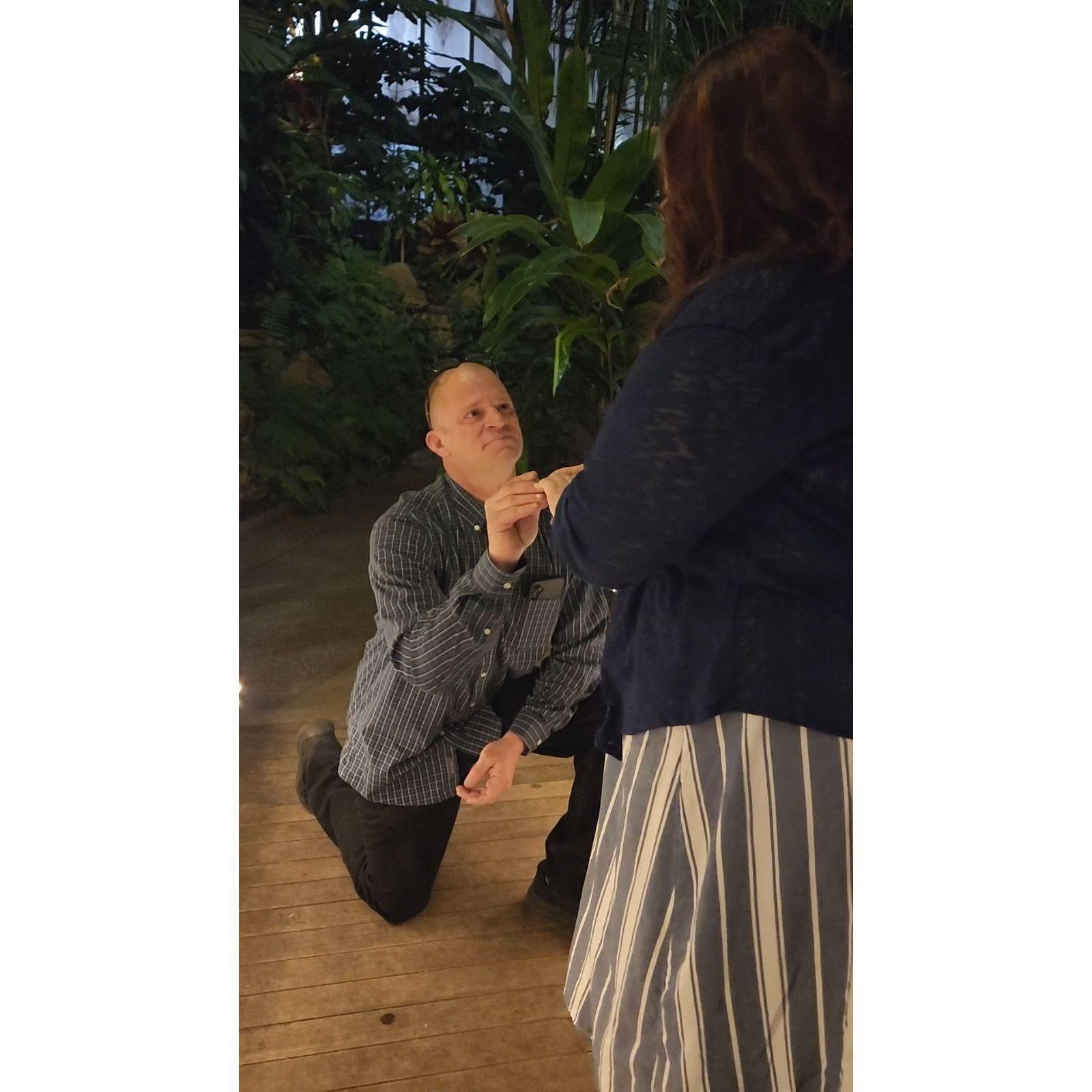The "Yes" day...beginning of our forever!