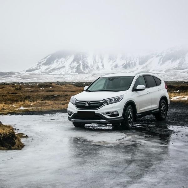 Car Rental