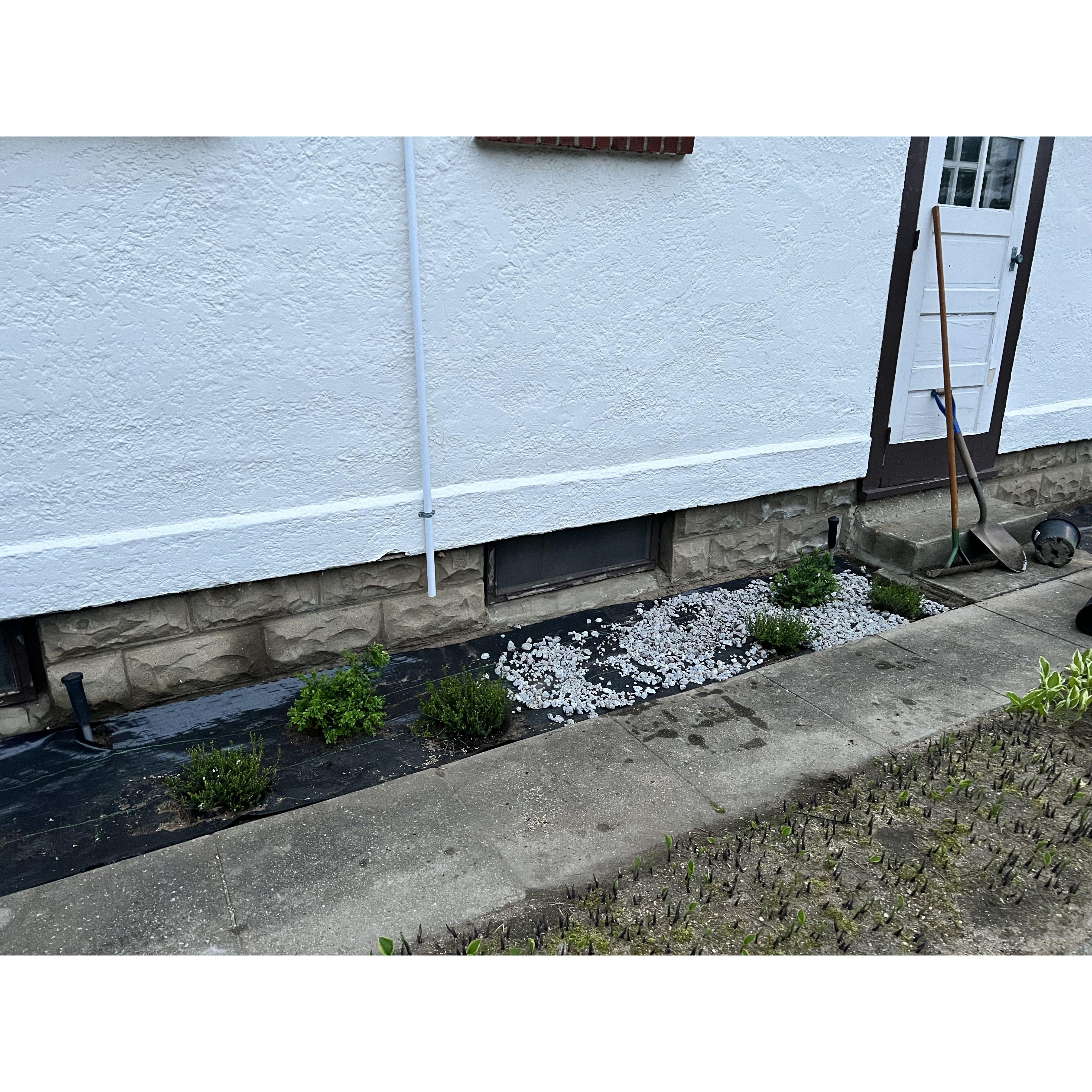 landscaping