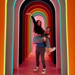 Museum of Ice Cream