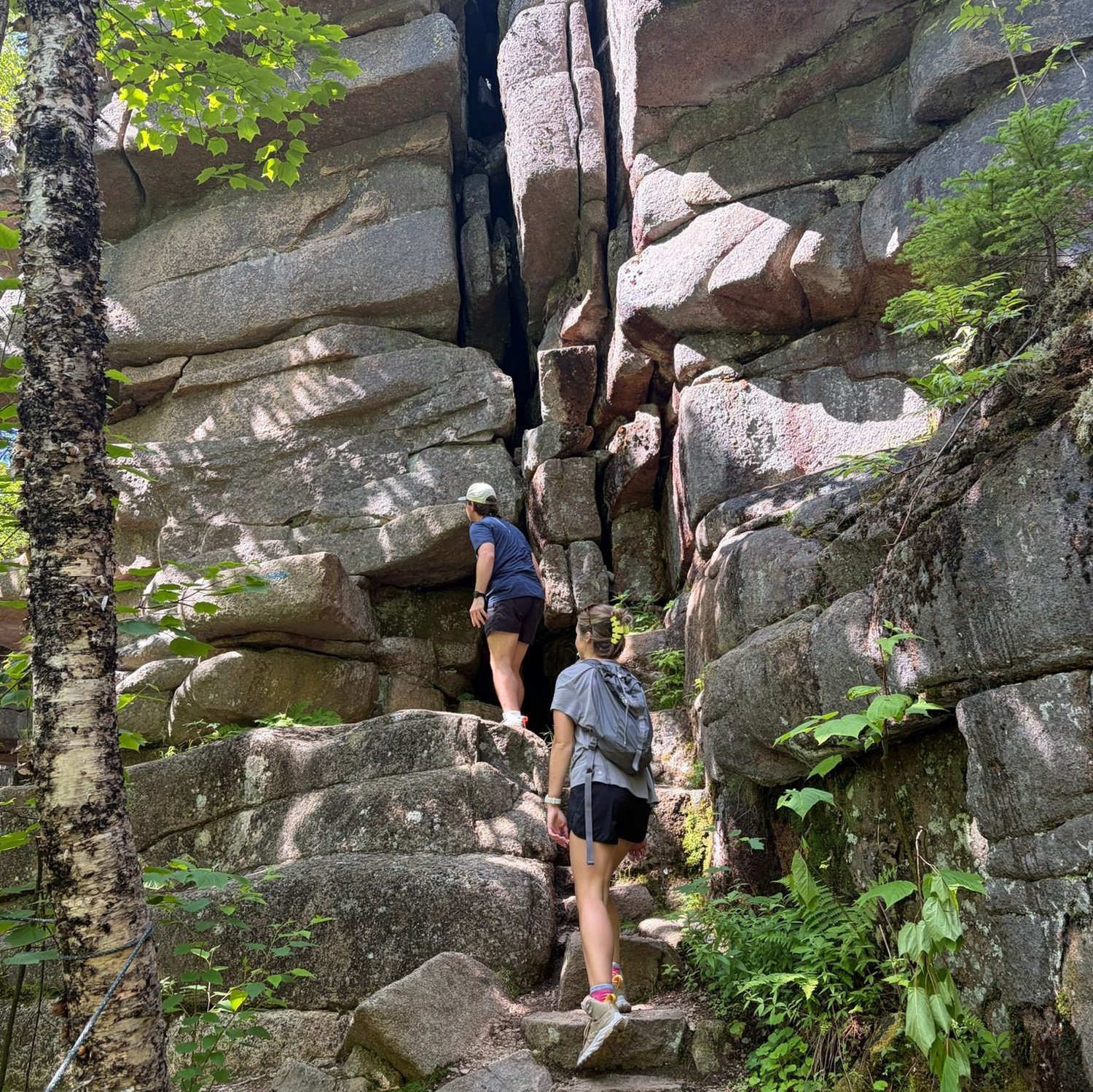 Dorr Mountain hike- a moderate 2 mile round trip hike to the top of the mountain!
