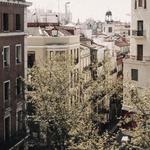 Petit Palace Plaza del Carmen