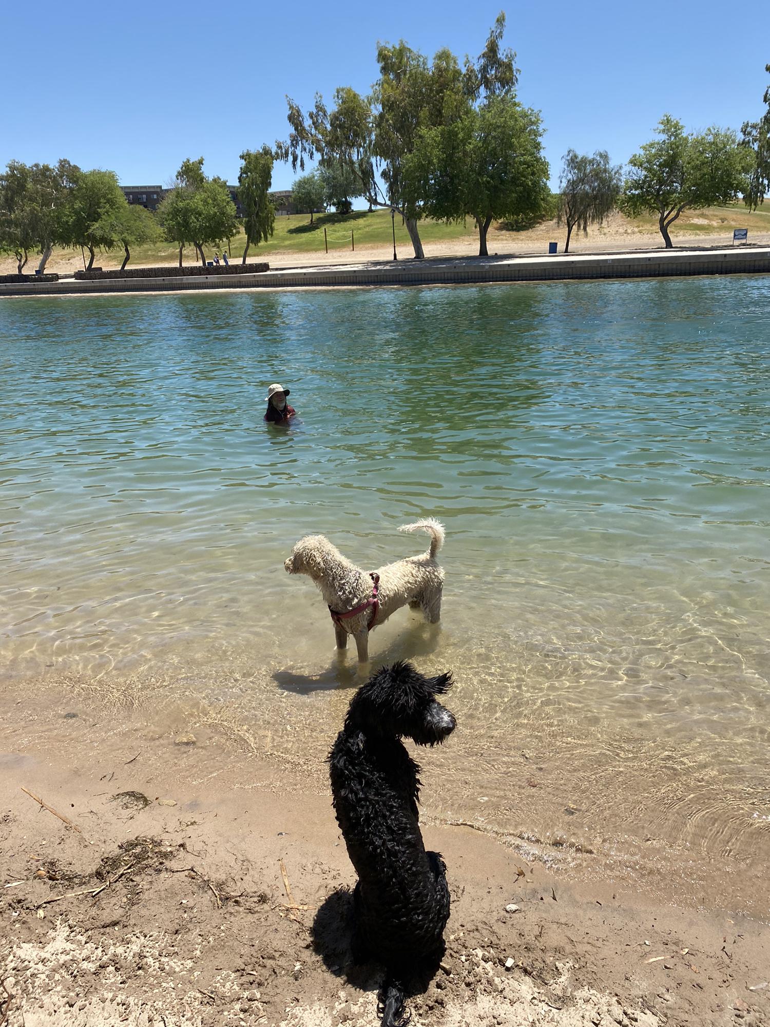 D and Freyas first time at Lake Havasu, and probably their last lol