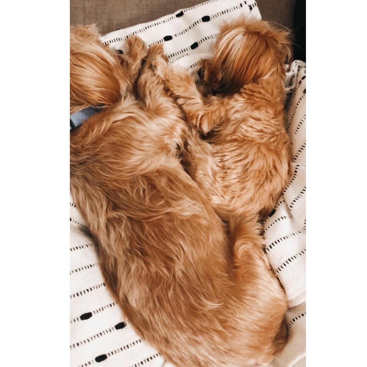 Mylo and Winnie cuddles continued