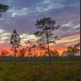 Hal Scott Regional Preserve and Park