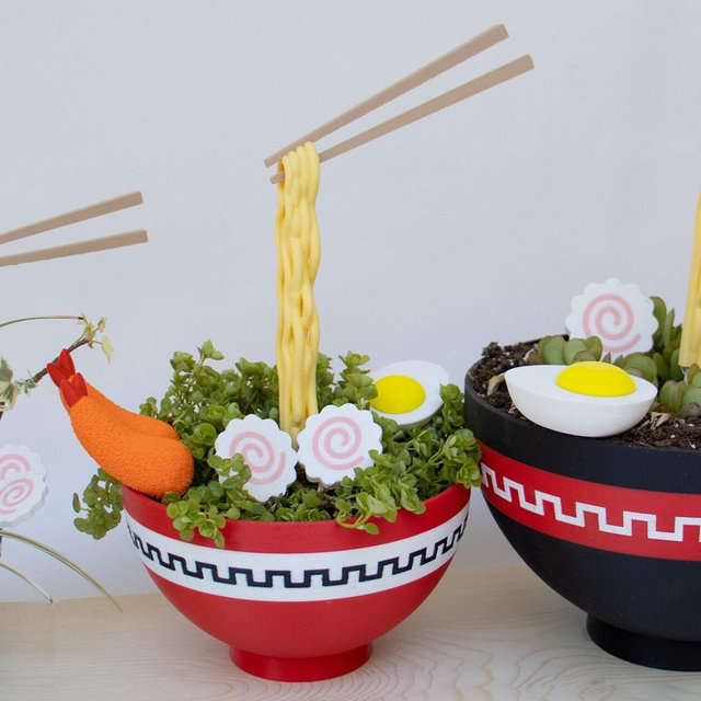 Japanese Ramen Bowl Planter | Floating noodles and topping included | Fully customizable colors