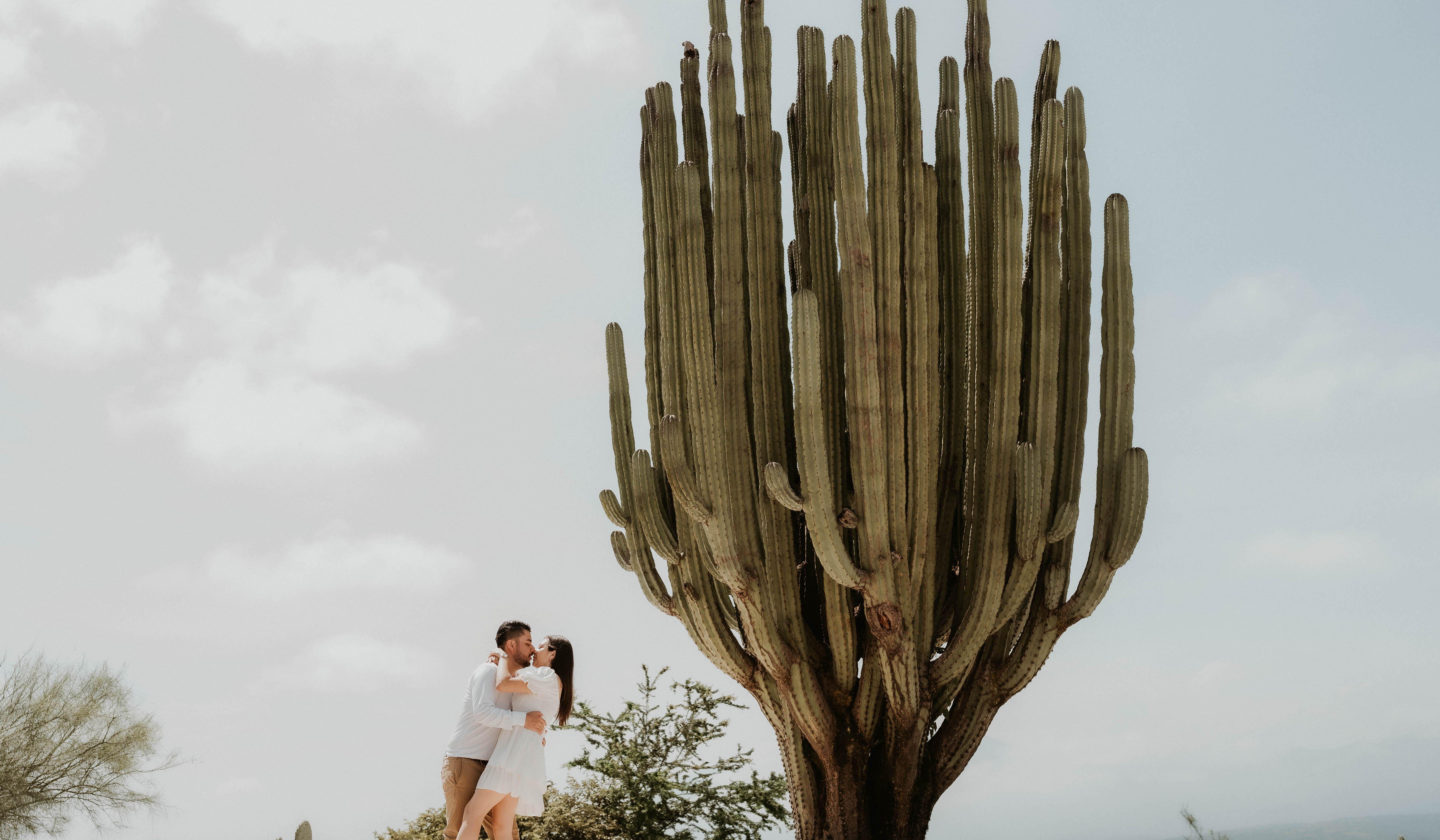 Hero Slideshow Image 5