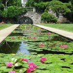 New Jersey Botanical Garden