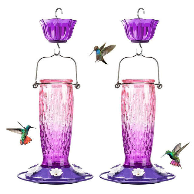Kingsyard 2 Pack Glass Hummingbird Feeders for Outdoors Hanging, Wild Bird Nectar Feeder with 6 Feeding Ports, 24 oz Leak-Proof, Pink & Purple (Ant Moat Included)