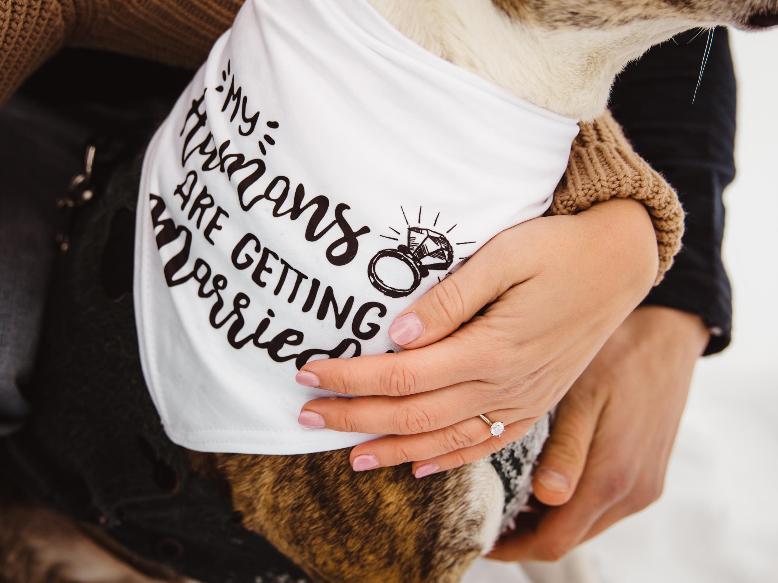 The Wedding Website of Rachel Nipple and Joe Ruelle