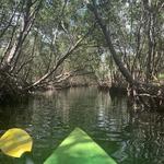 Weedon Island Preserve