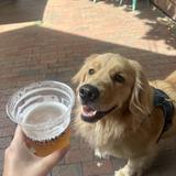 Montauk Brewing Company