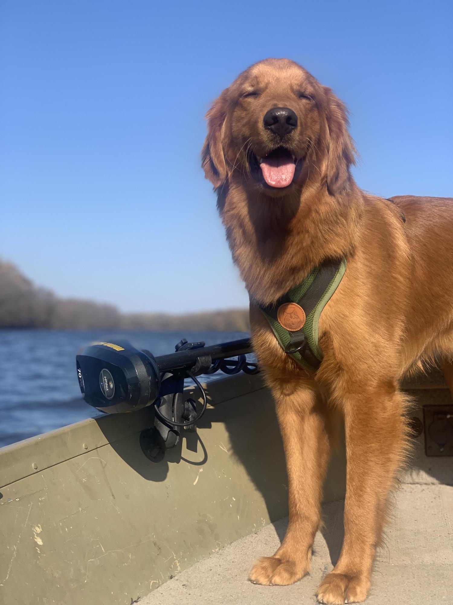 Frankie loves being on the water almost as much as Tony. He looks so, so happy here.