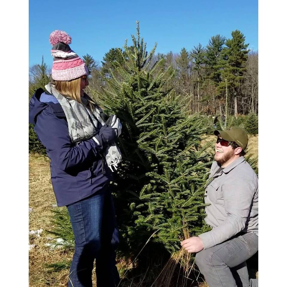 The proposal, December 9, 2018
