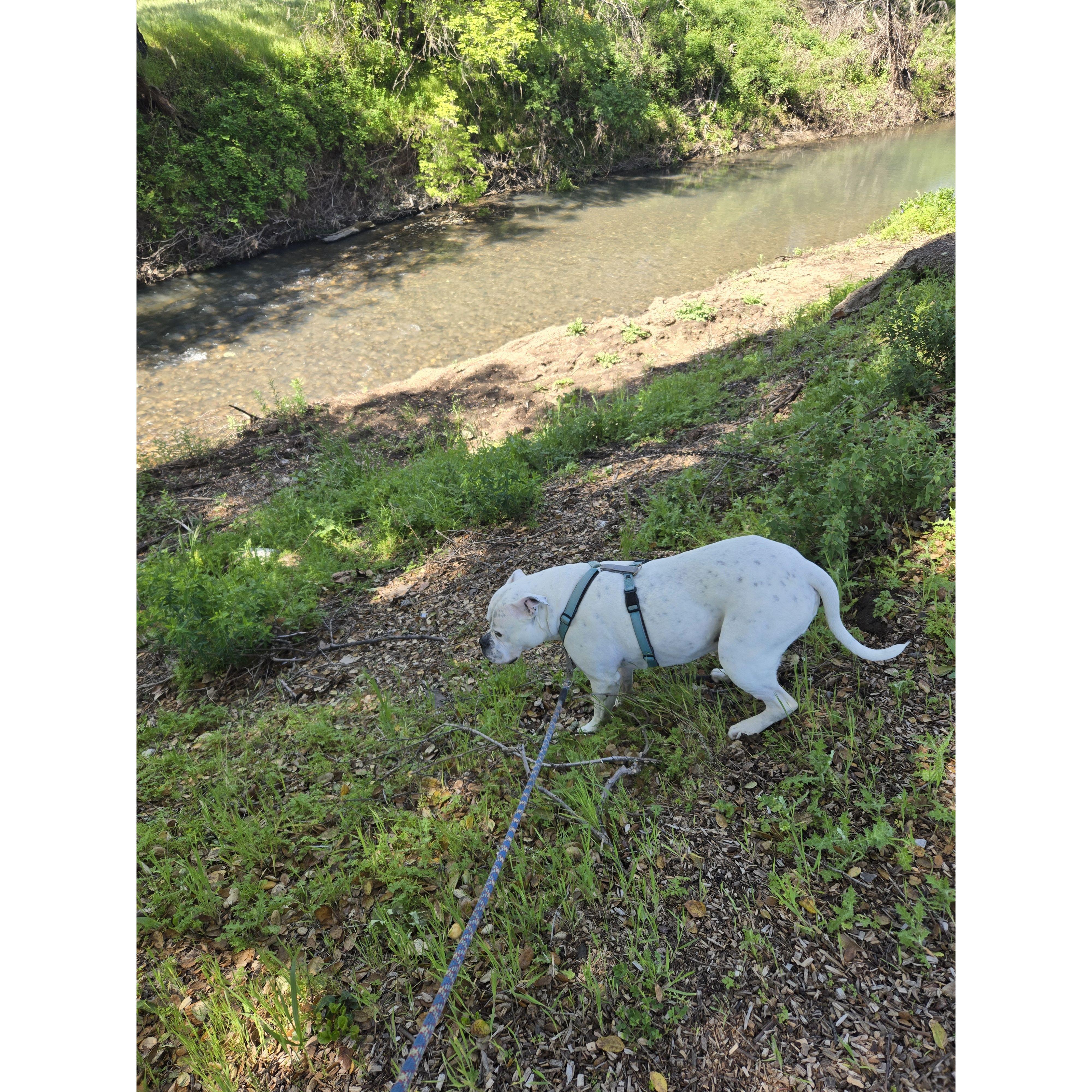 She was more focused on getting into the river below