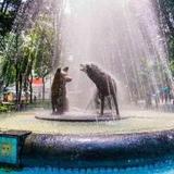 Plaza Coyoacán