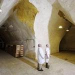 The Cheese Cave