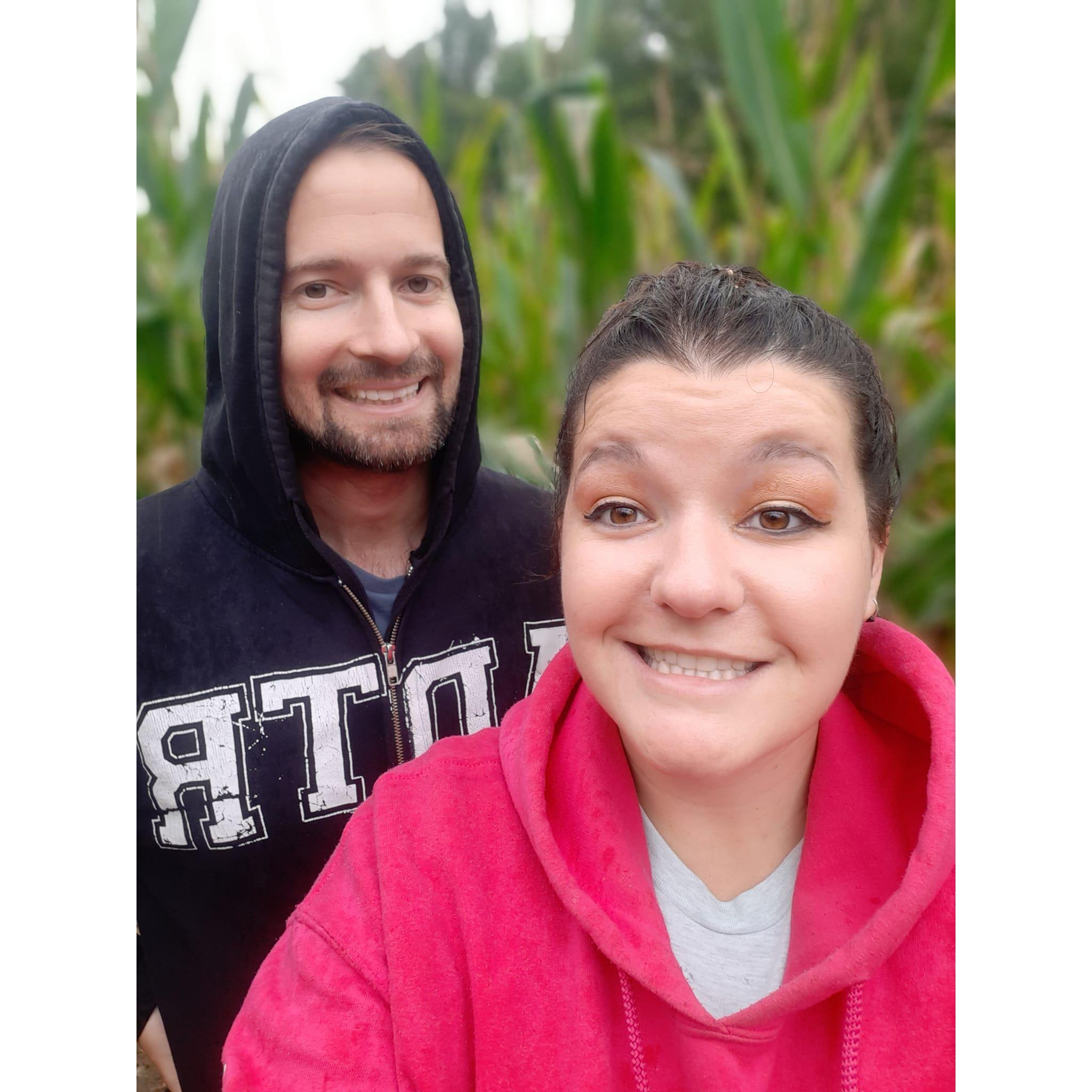Rainy corn mazes