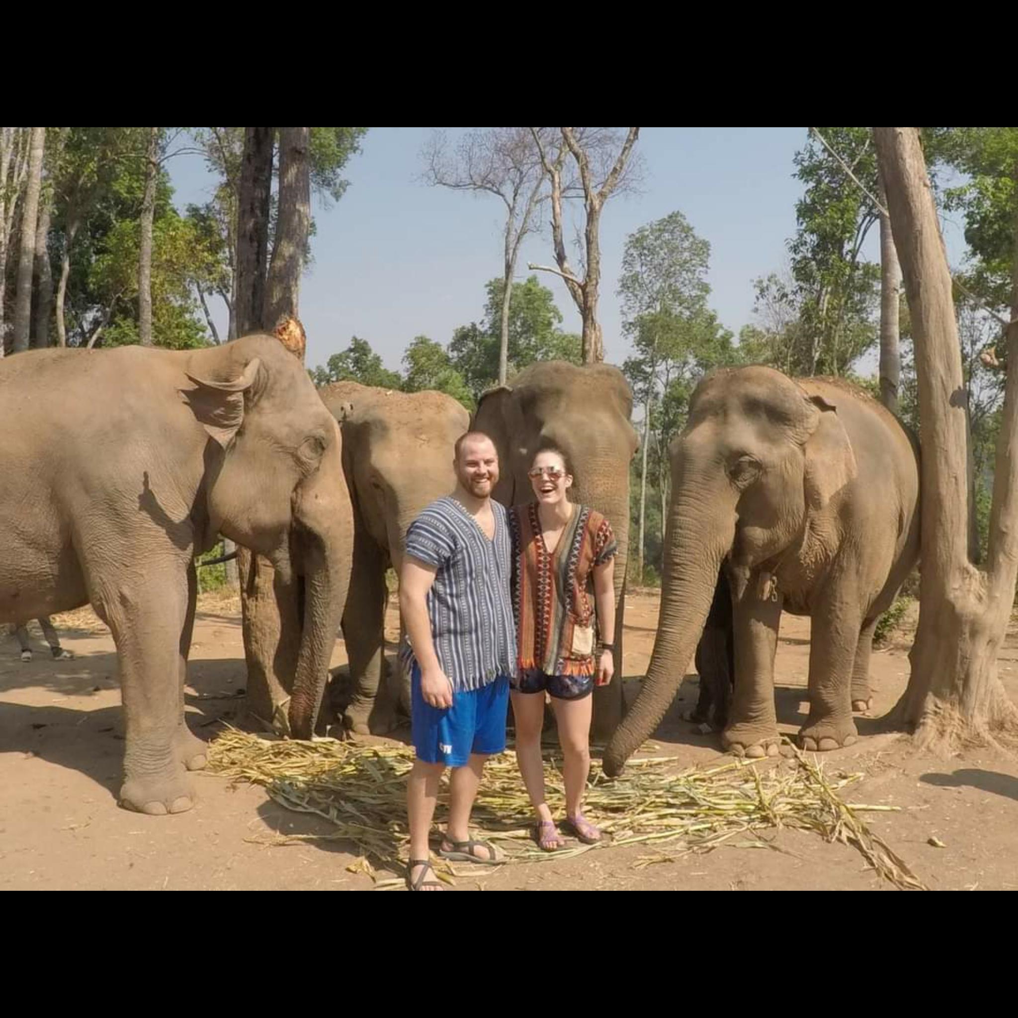 Elephant Jungle Sanctuary
