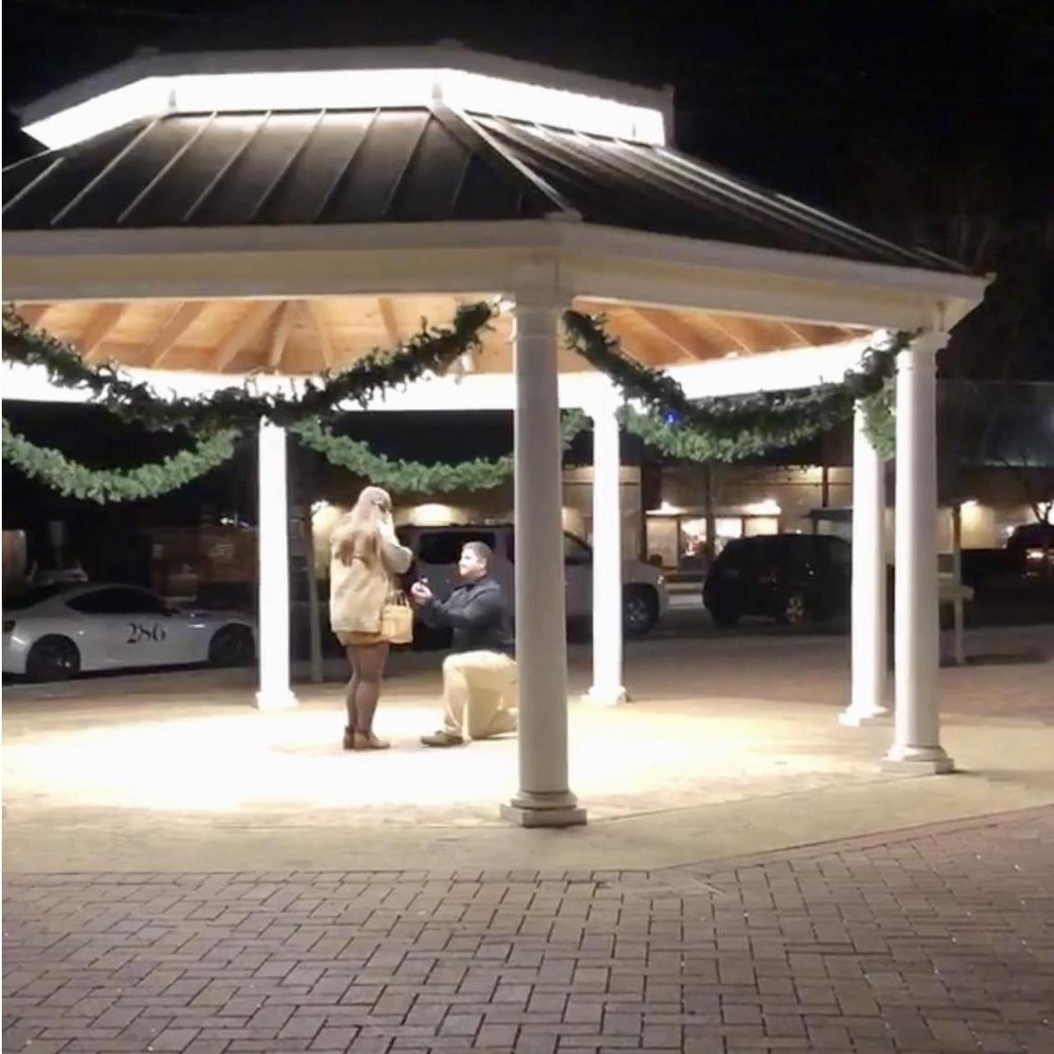 The proposal!