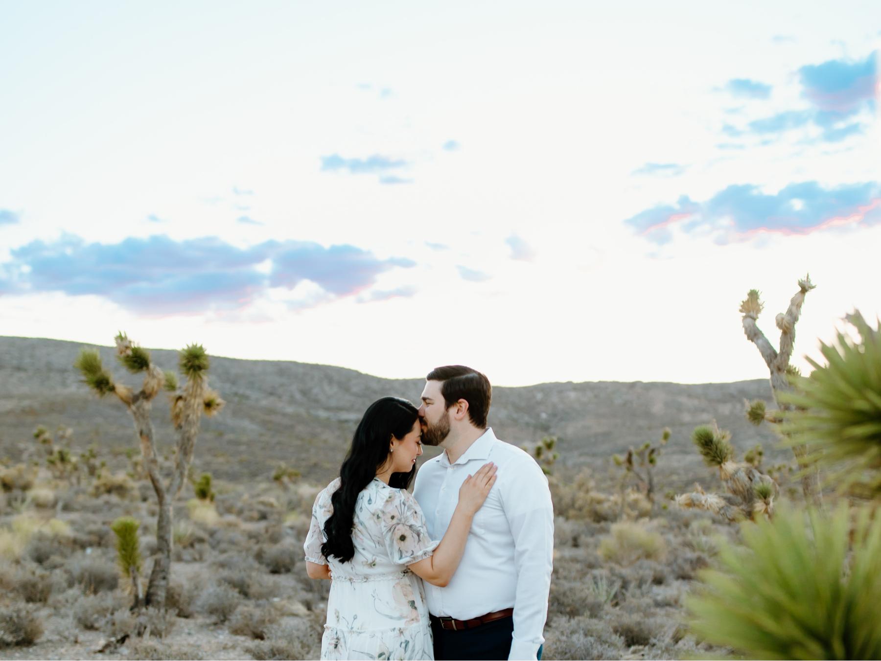 The Wedding Website of Natasha Hansen and Mitch Salopek