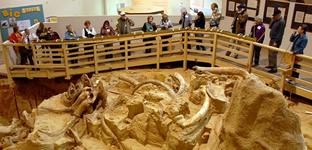 Mammoth Site