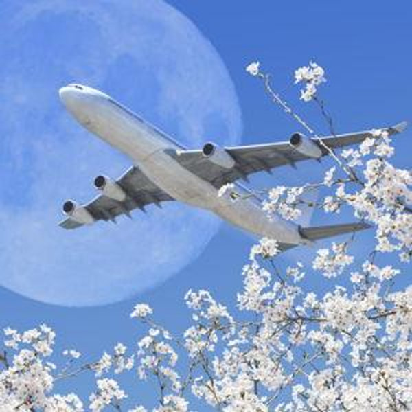 Plane Tickets