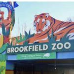 Brookfield Zoo