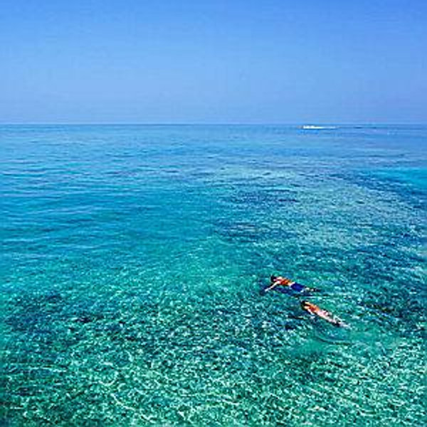 Caribbean Honeymoon