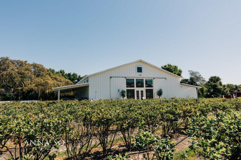 The Wedding Website of Amarilis Sierra and Tyler Bryant