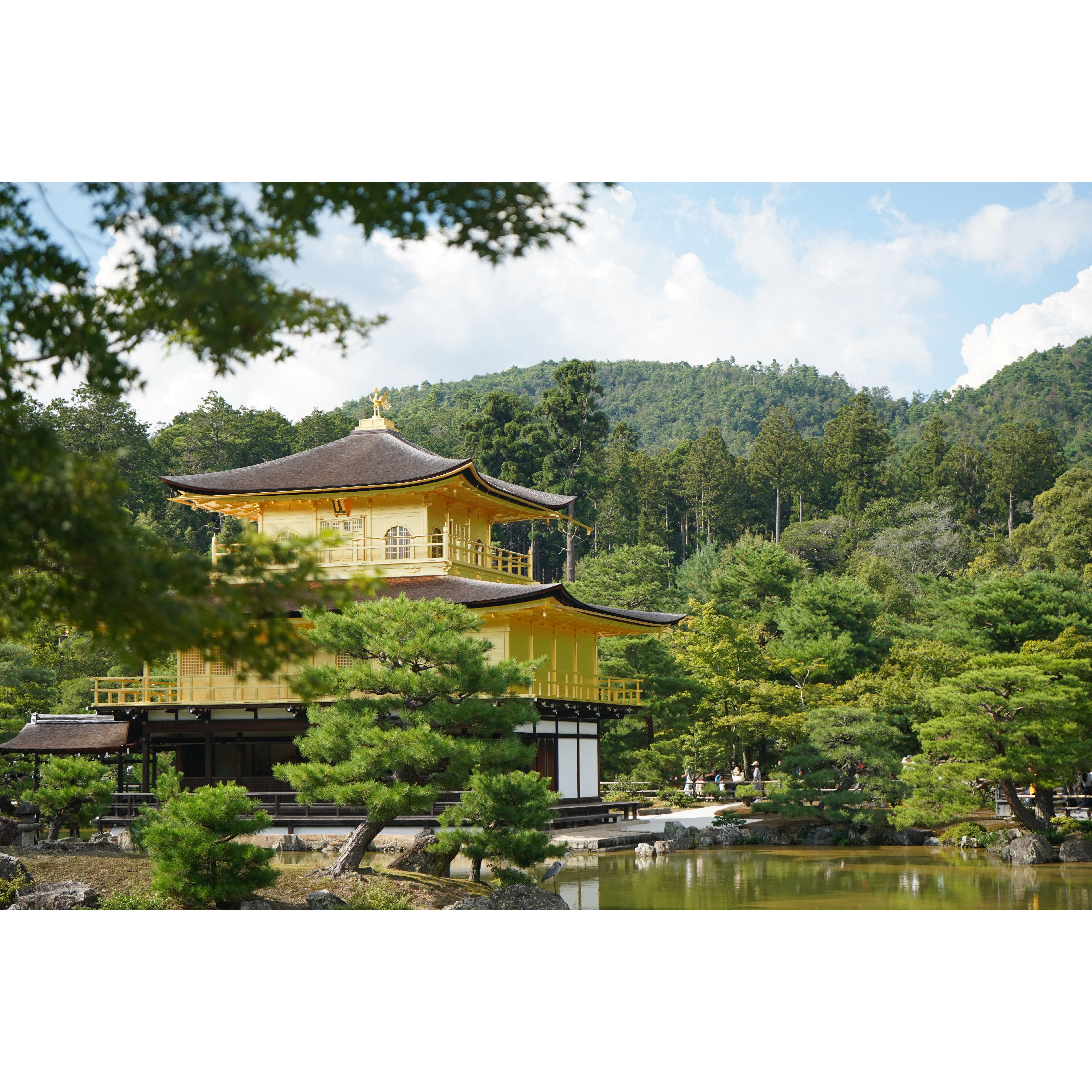 This is the Kinkaku-Ji temple in Kyoto Japan where we got engaged in 2023. Photo taken by Chelsae about 10 minutes before the proposal.