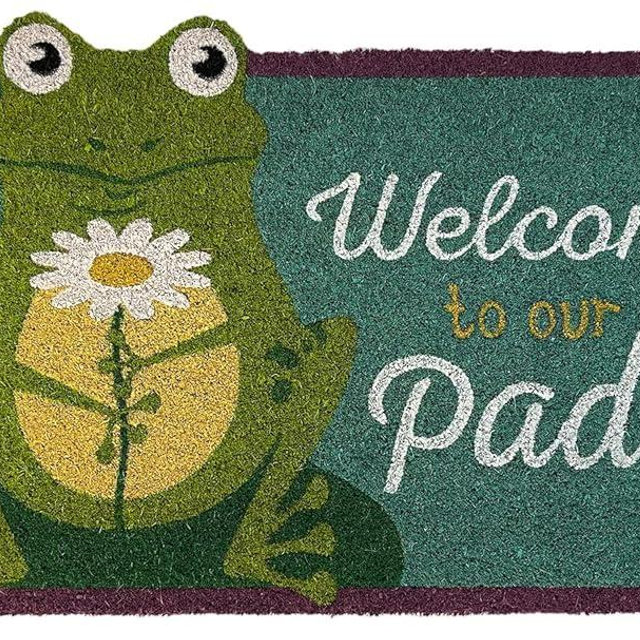 Briarwood Lane Daisy Frog Summer Coir Rug Doormat – Standard Size 30 x 18 Inches - Durable Natural Fiber Welcome Mat for Front Door, Outdoor and Indoor Entryway - Summer Home Decoration