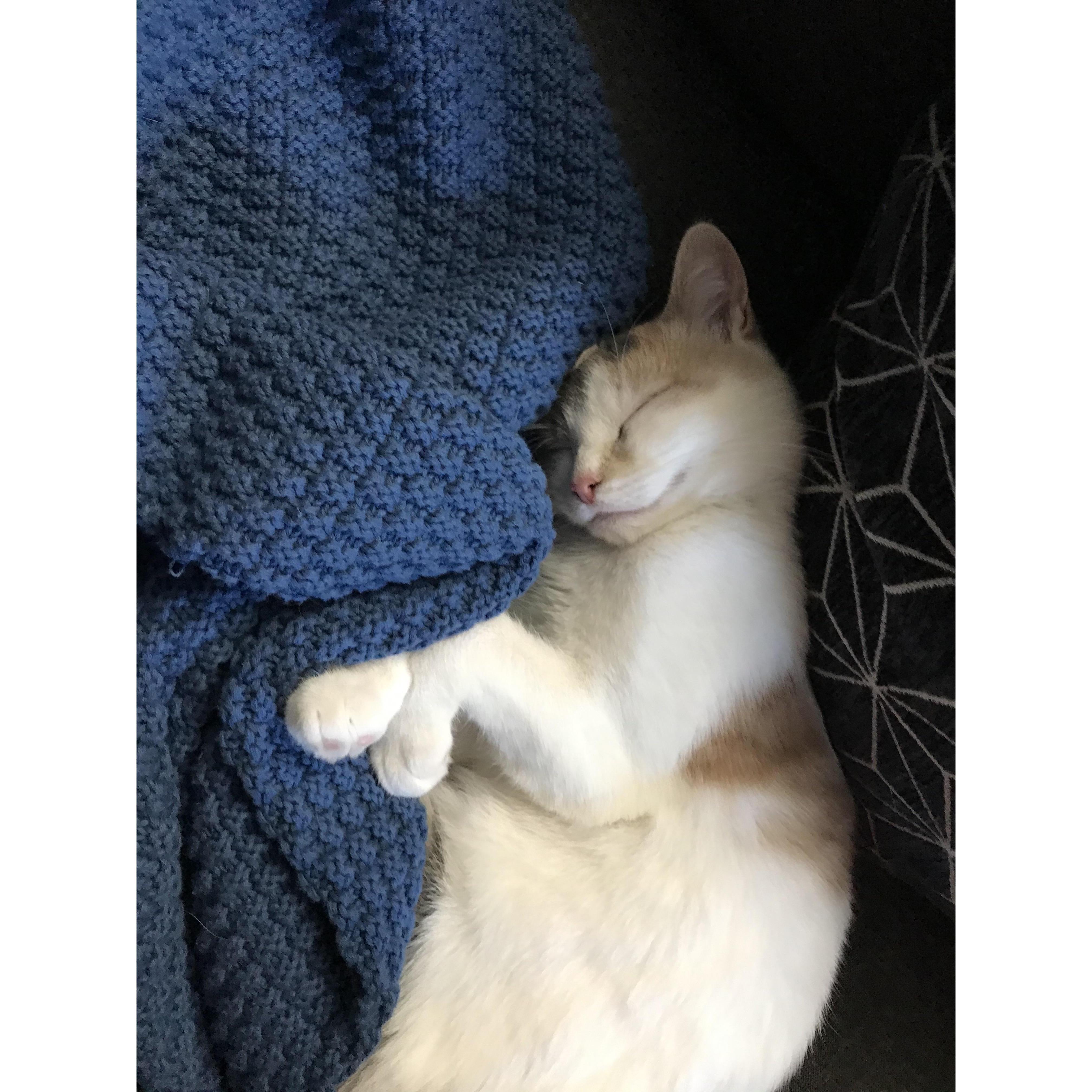 She slept through her alarm.