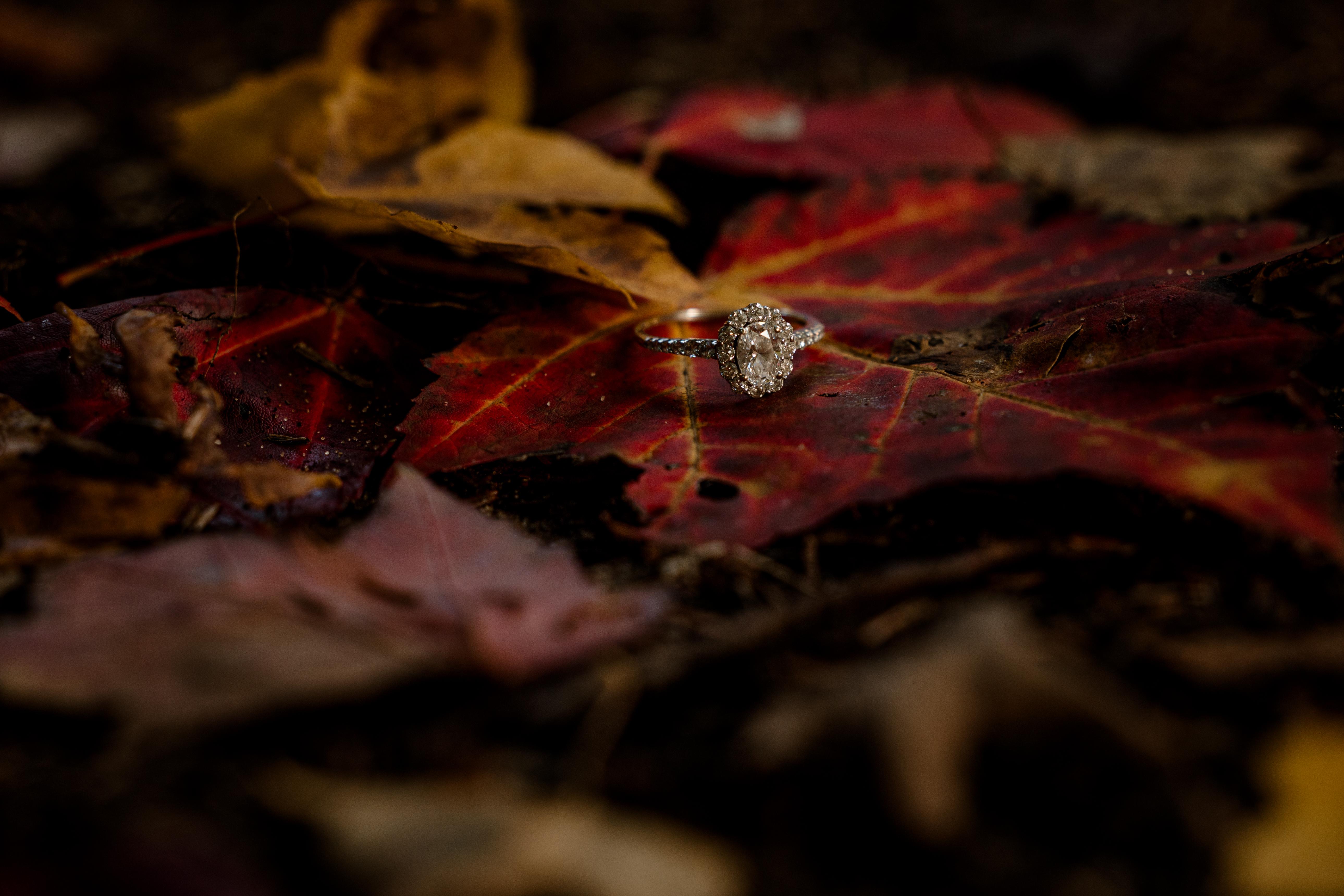 The Wedding Website of Mallory Slate and Jacob Wilhelm