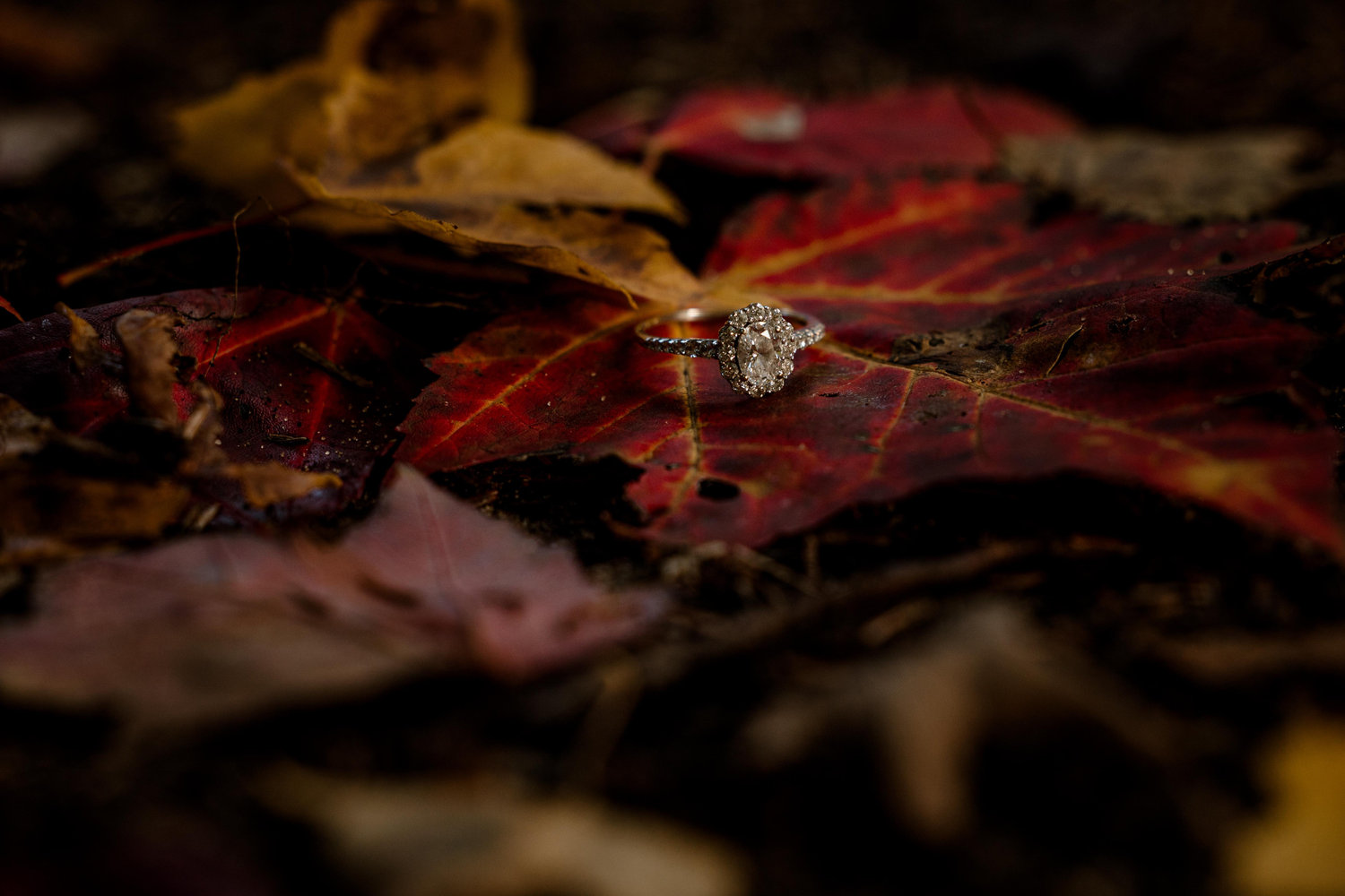 The Wedding Website of Mallory Slate and Jacob Wilhelm