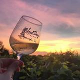 Blue Sky Vineyard