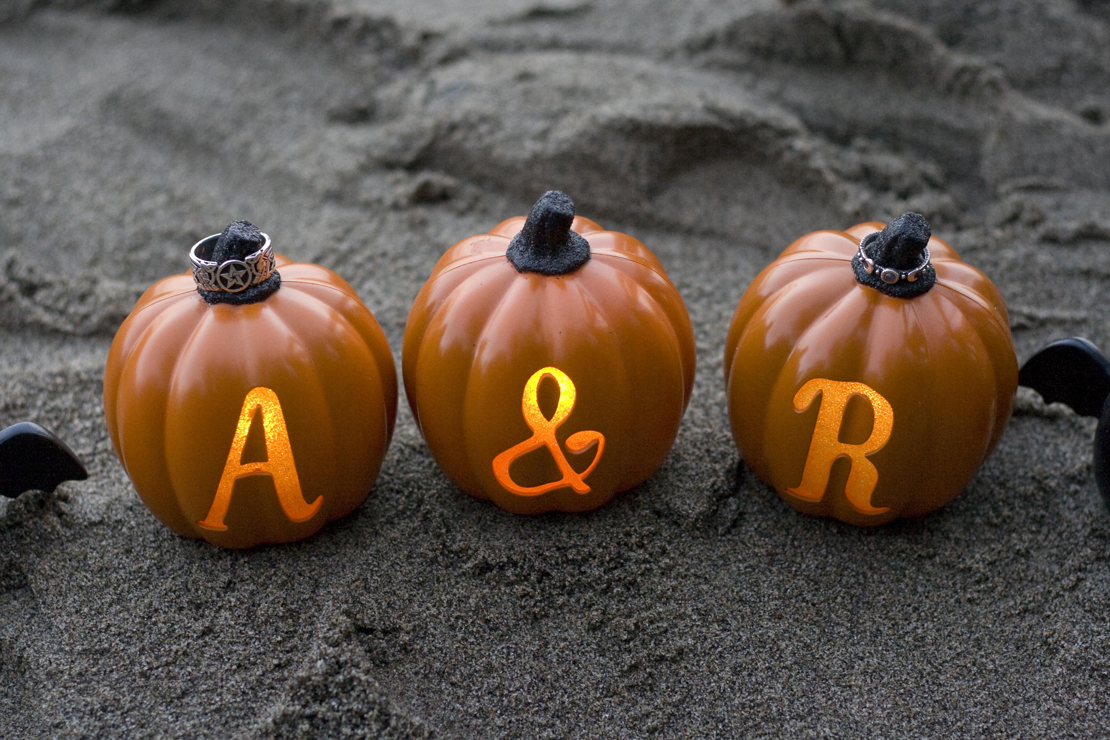 The Wedding Website of Adam Lindsey and Rochelle Christopherson