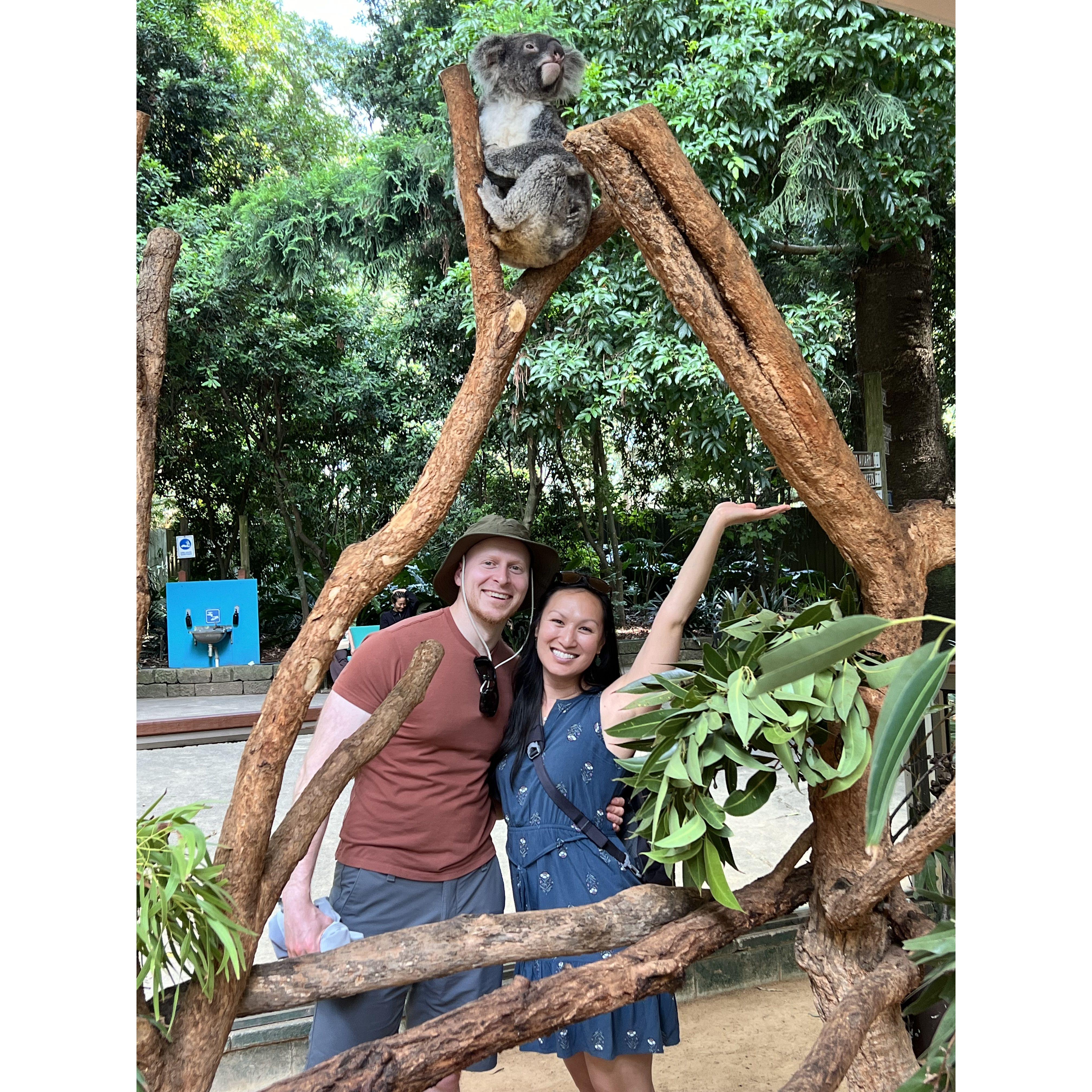Koala Park Sanctuary in Australia, where we saw Mark Wahlberg and his family