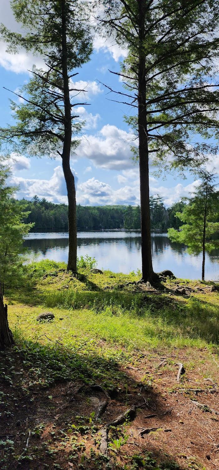 The Wedding Website of Danielle Morse and Jacob Savoy