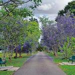 Royal Botanical Gardens