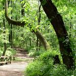 Watchung Reservation