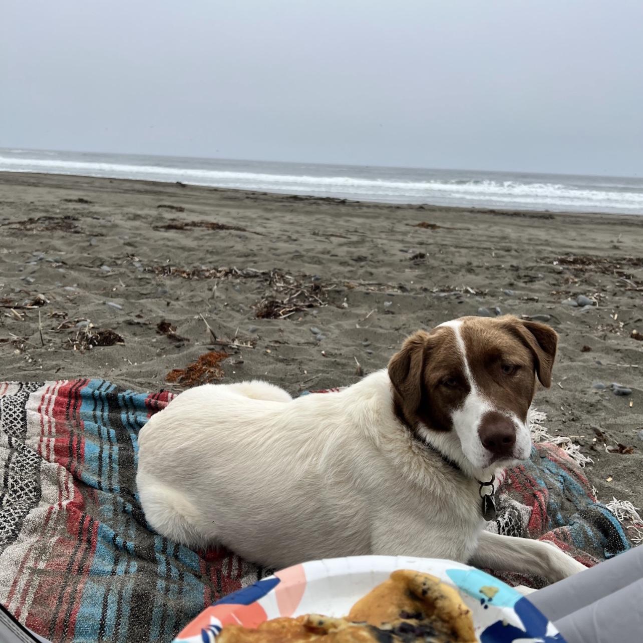 Pancakes on the beach