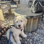 Lock 32 Brewing Company
