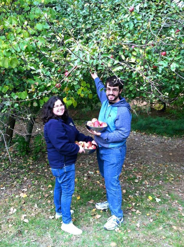 Apple Picking, Colts Neck, New Jersey - 2015
