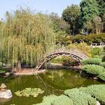 The Huntington Library, Art Museum, and Botanical Gardens