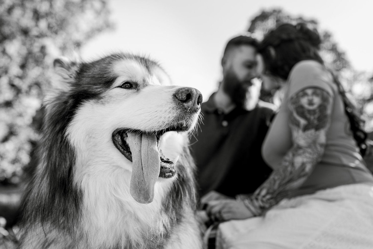 The Wedding Website of Shannon Ryan and Evan Griffith
