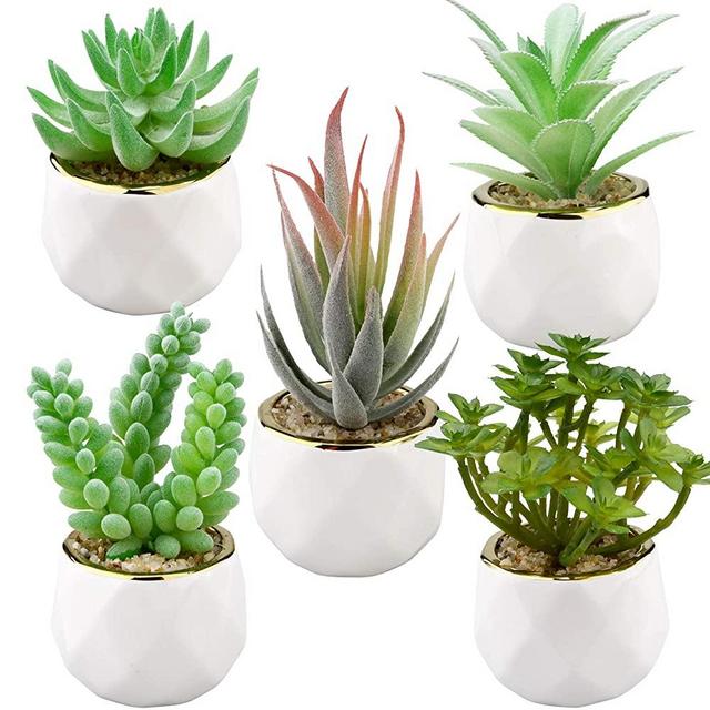 Set of 5 Mini Fake Succulents Plants in White Ceramic Pots for Desk,Faux Succulent,Artificial Plants Potted for Indoor Shelf,Bathroom,Home Office,Window Shelf,Bedroom Decorations