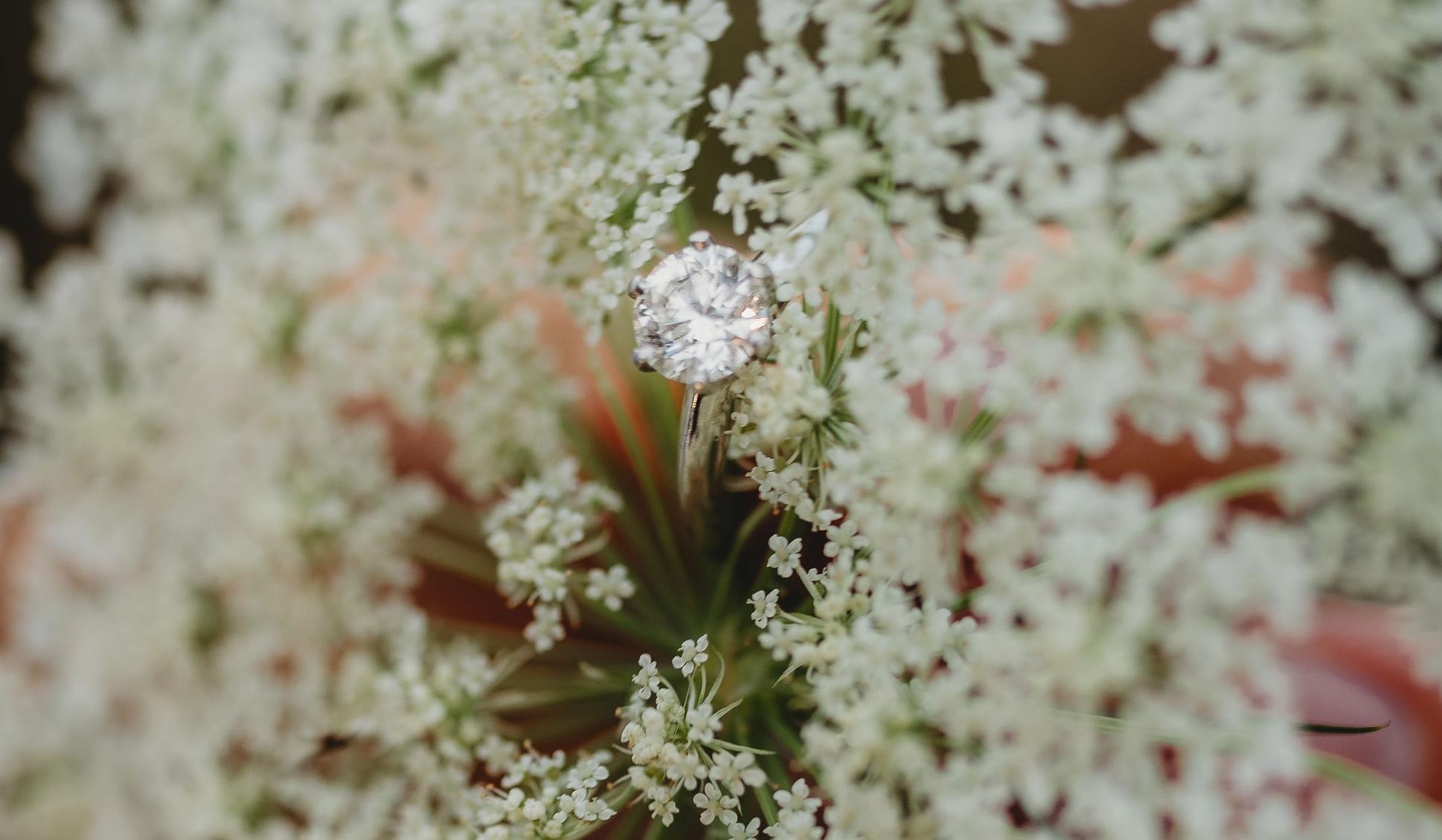 The Wedding Website of Brandy Bradley and Dominic Campriana